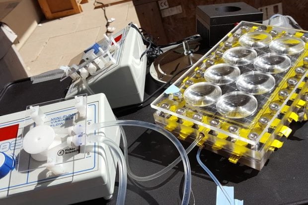 Researchers from Rice University’s Laboratory for Nanophotonics found they could boost the efficiency of their solar-powered desalination system by more than 50% by adding inexpensive plastic lenses to concentrate sunlight into “hot spots.” (Photo by Pratiksha Dongare/Rice University)