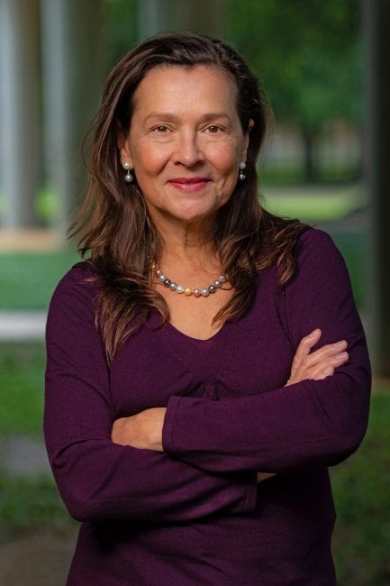 Naomi Halas (Photo by Jeff Fitlow/Rice University)