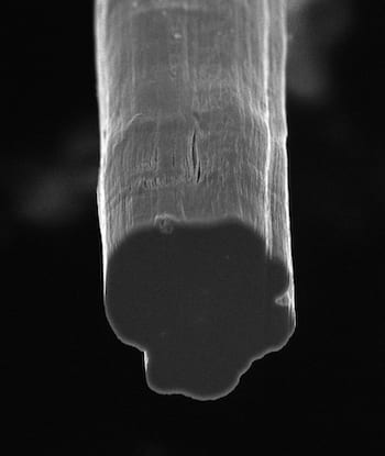 The cross-section of a fiber produced at Rice University contains tens of millions of carbon nanotubes. The lab continually improves its method to make fibers, which tests show are now stronger than Kevlar. Courtesy of the Pasquali Research Group