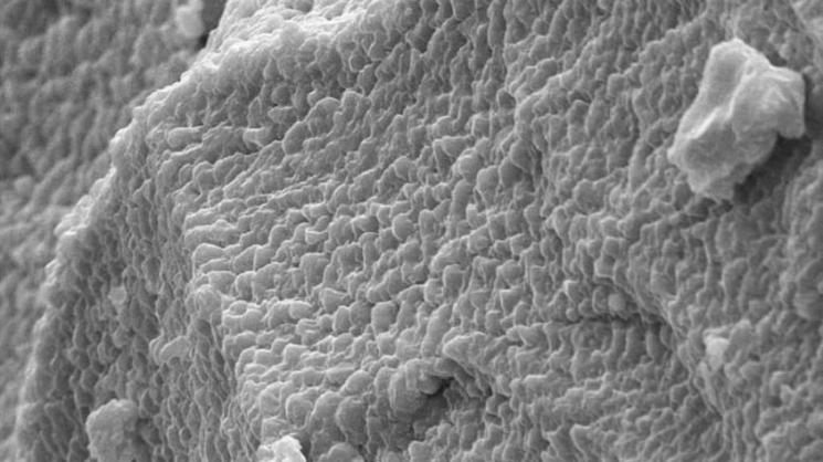 An electron microscope image of the flexible dielectric alloy created at Rice University shows a layered structure of sulfur and selenium and a lack of voids. The material shows promise as a separator for next-generation flexible electronics.