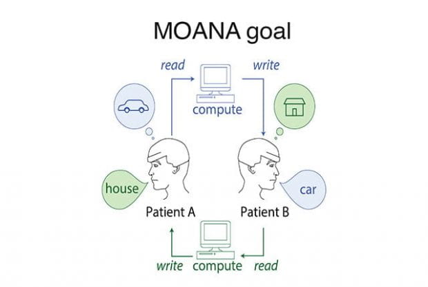 Rice University neuroengineers are leading an ambitious DARPA-funded project to develop MOANA, a nonsurgical device capable of both decoding neural activity in one person’s visual cortex and recreating it in another’s in less than one twentieth of a second. (Image courtesy of J. Robinson/Rice University)