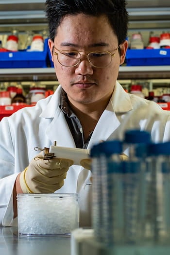 Rice graduate student Jason Guo fills a mold with bioactive hydrogel. Injectable hydrogels can be enhanced with biomolecules and mixed at room temperature to help heal a variety of wounds. Photo by Jeff Fitlow