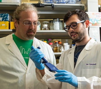 Rice University synthetic biologist Joff Silberg, left, and graduate student Ian Campbell. Photo by Jeff Fitlow
