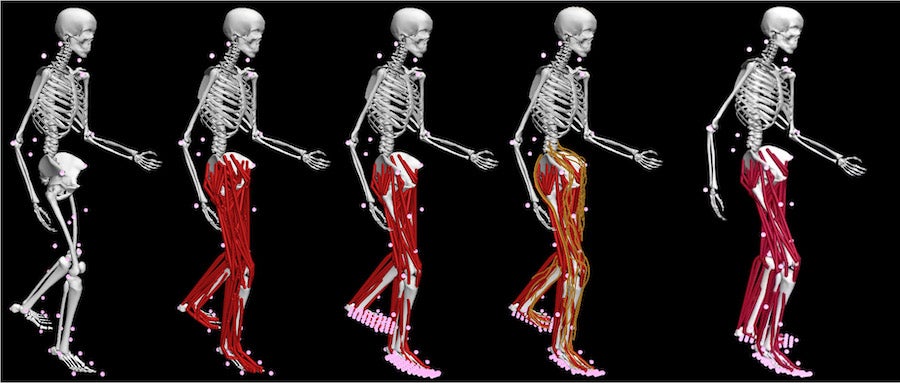 Schematic of the four steps involved in the model personalization process, from personalizing joint models, to muscle-tendon models, to ground contact models, to neural control models, resulting in a final personalized model that can be used to predict the patient’s posttreatment walking function. (Courtesy of the Fregly group/Rice University)